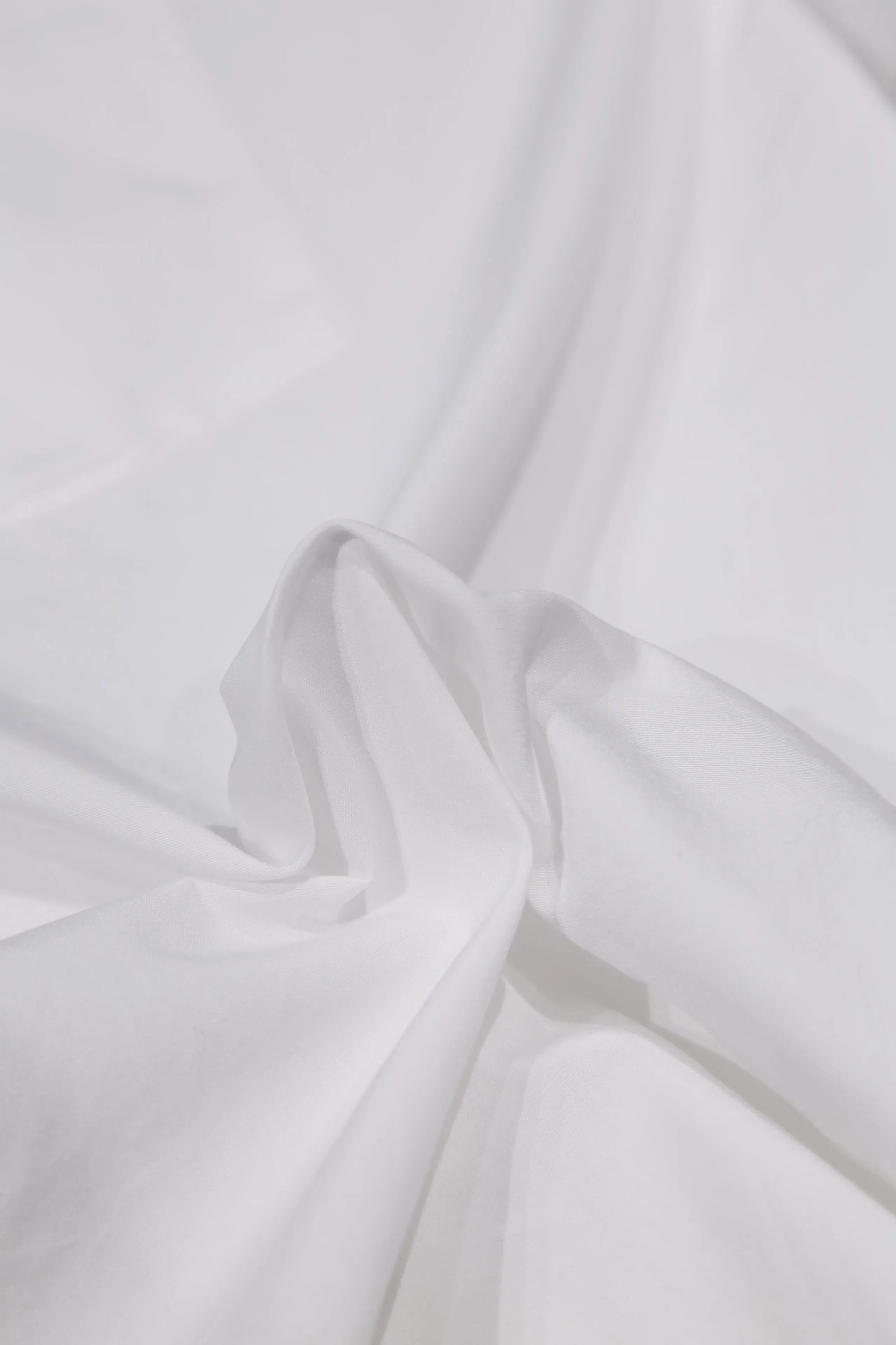 Standard Shirt (WHITE)